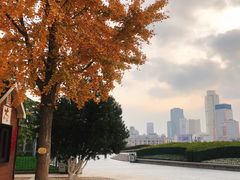 -泉城广场