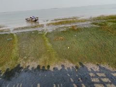 -吴淞炮台湾湿地森林公园烧烤区
