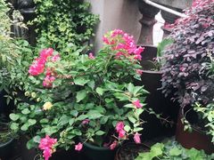 -吉庆街美食广场