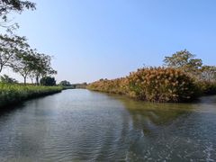 -大湾区中央湿地公园