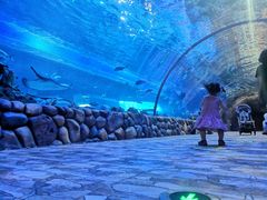 -华夏文旅海洋公园