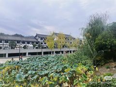 -后柳水乡
