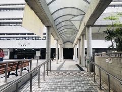-香港大学
