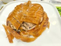 -津悦·正阳春烤鸭(红旗南路店)