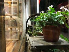 店内环境-猫的天空之城概念书店(杭州南宋御街店)