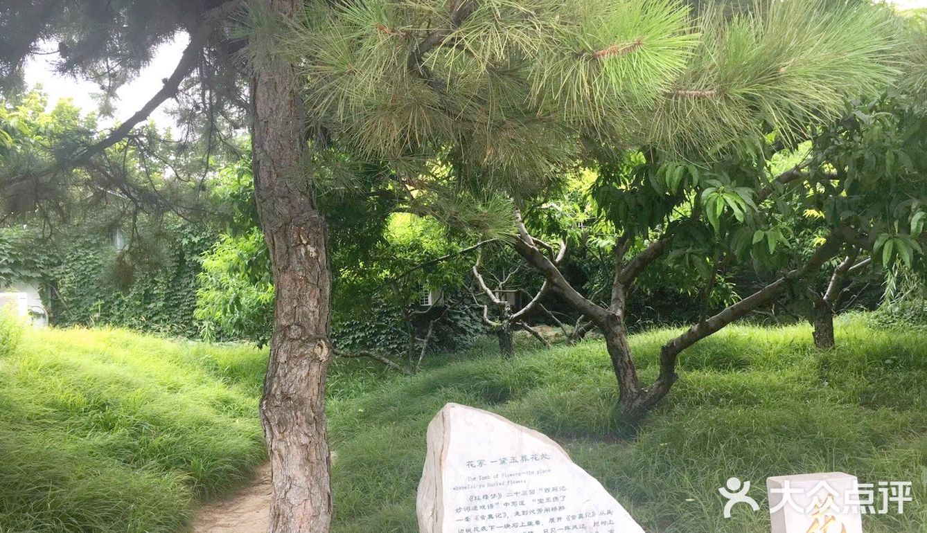 不来后悔，来了更后悔