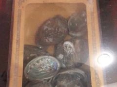 -秉正堂中医门诊部公司(新乐路店)