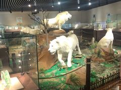 -陕西自然博物馆