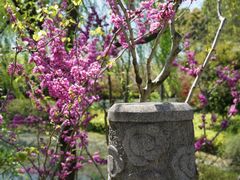-杭州城北体育公园