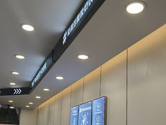 -一只酸奶牛(洪崖洞11楼店)