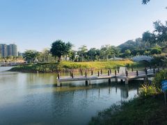 -王借岗森林公园