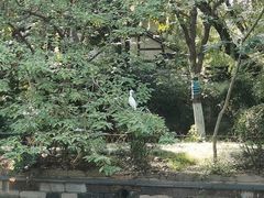 -金泽古镇