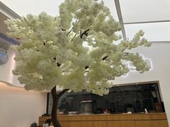 -艾薯夫妇Aysh(福田星河COCOPark店)