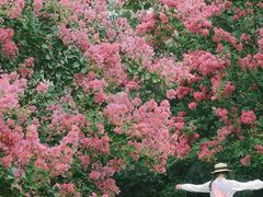 -杭州城北体育公园