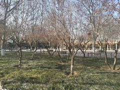 -丰台科技园生态主题公园