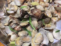 白灼花蛤-必点海鲜·鲅鱼水饺(鞍山西道店)