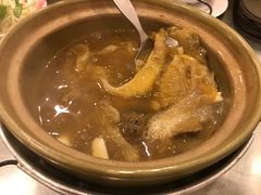 -大中鱼翅 Taitong Shark Fin