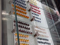 -酷巧·巧克力糖果店