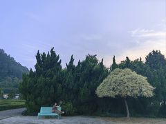 -南沙蒲洲花园