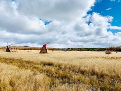 -塞罕坝国家级自然保护区