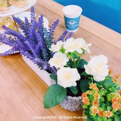 -斐尔国际皮肤管理中心