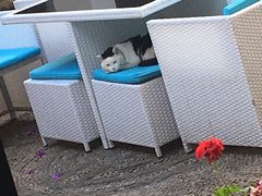 -浔岚云舍mist静谧观景美宿(丽江古城店)