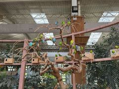 -南宫五洲植物乐园