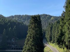 -武陵山森林公园