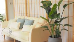 -盼兮·日式美睫沙龙