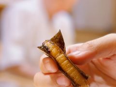 -镹·鱼料理  国产鱼使用店