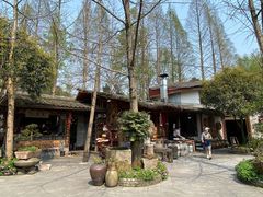 -青城甲(青城山店)