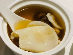 松茸炖花胶汤-梧桐餐厅(泉城路店)
