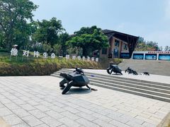 -广东惠东海龟国家级自然保护区