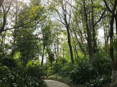 -成都市活水公园