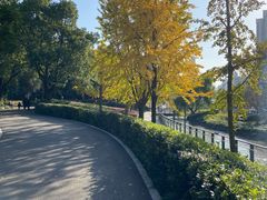 -苏州河梦清园环保主题公园