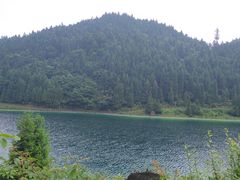 -武陵山森林公园