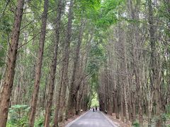 -同里国家湿地公园