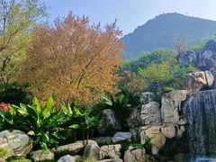 -华清宫景区