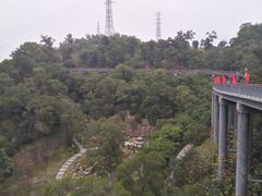 -金鸡山公园