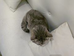 -天使咖啡(兴新街店)