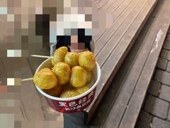 -黑色经典臭豆腐·湖南特产(坡子街特产局店)