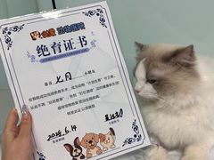 -达爱动物医院·犬猫分区·CT·复杂眼科(远洋山水分院)