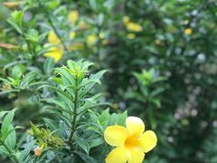 -乌鲁淡布隆国家公园