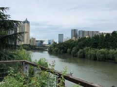 -运河游船(武林门码头)