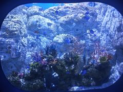 -欢乐海岸海洋奇梦馆