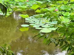 -郑和公园