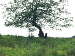 -硗碛藏寨·神木垒景区