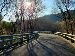 -西湖风景区-江洋畈生态公园