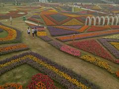 -上海浦江郊野公园-2号停车场