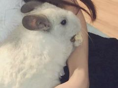 -藦茜花园宠物主题亲子互动体验馆(国顺东路店)